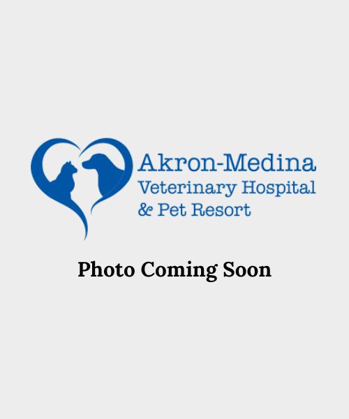 Photo Coming Soon
