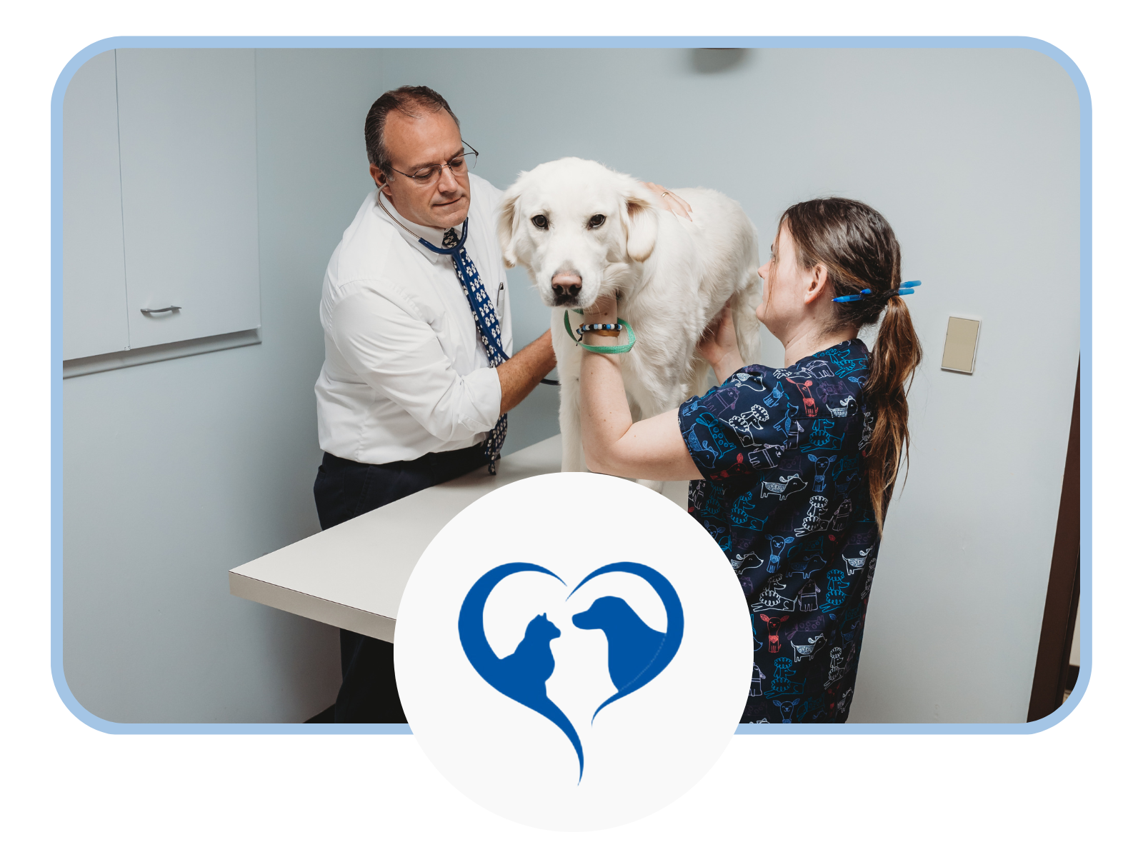 service-bannern A woman and a man are closely examining a dog