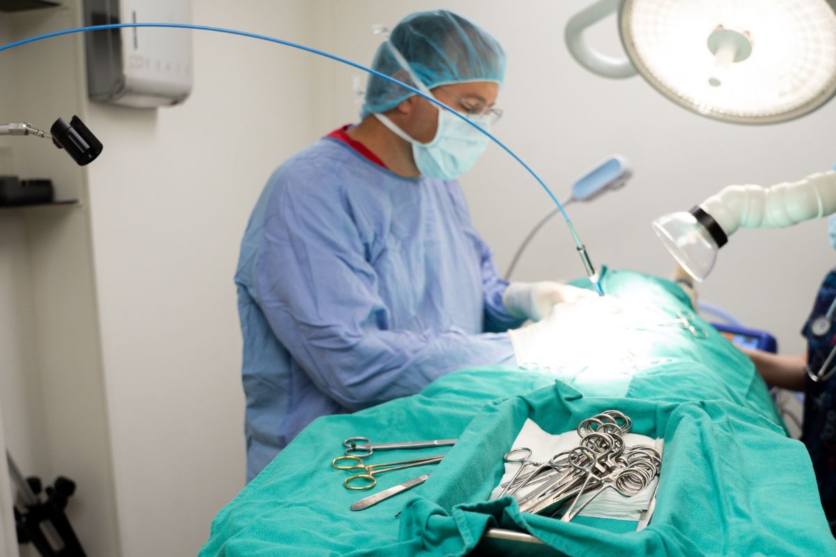 A surgeon in scrubs performing surgery on a pet