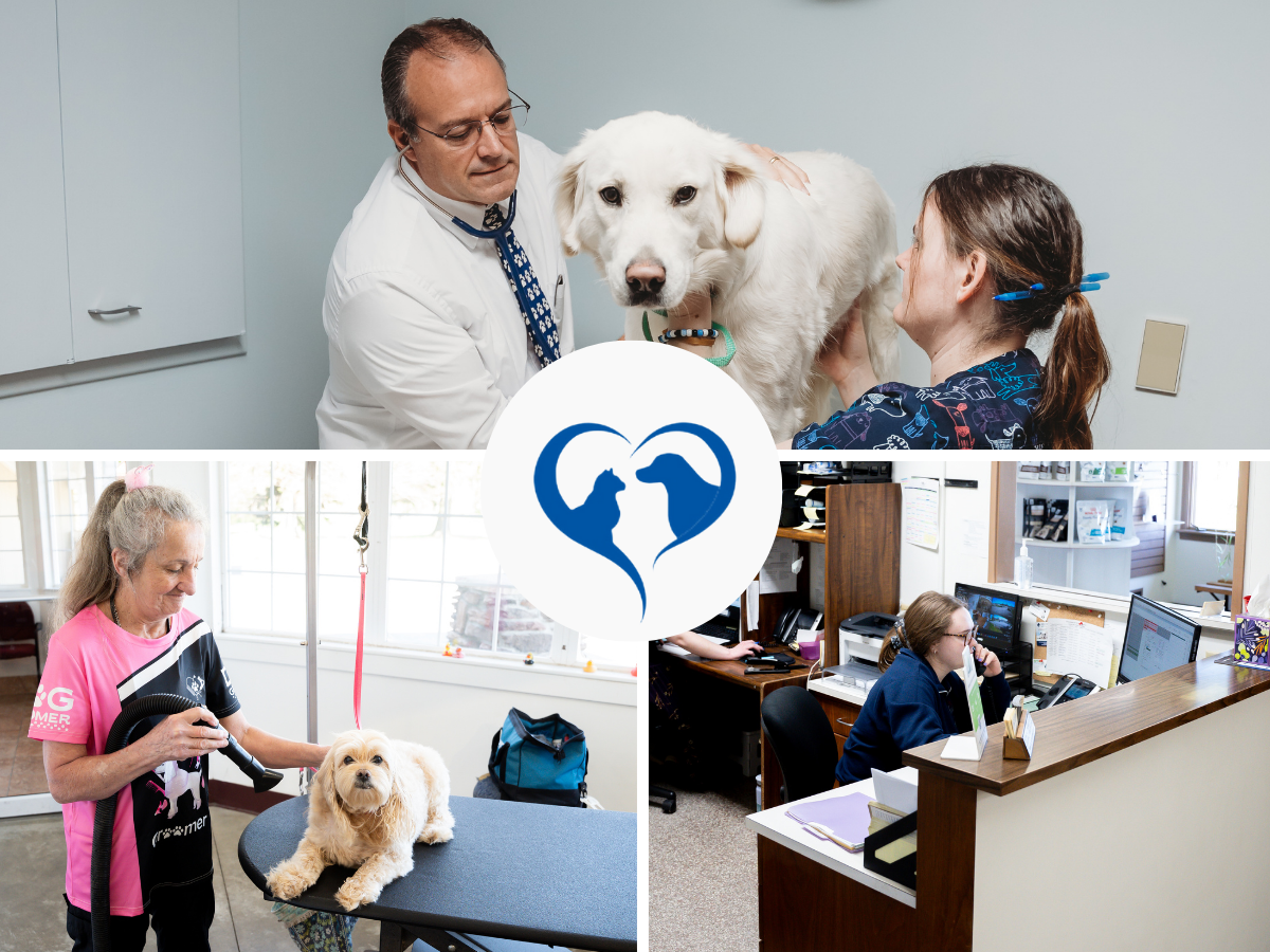 Akron-Medina Veterinary Hospital staff