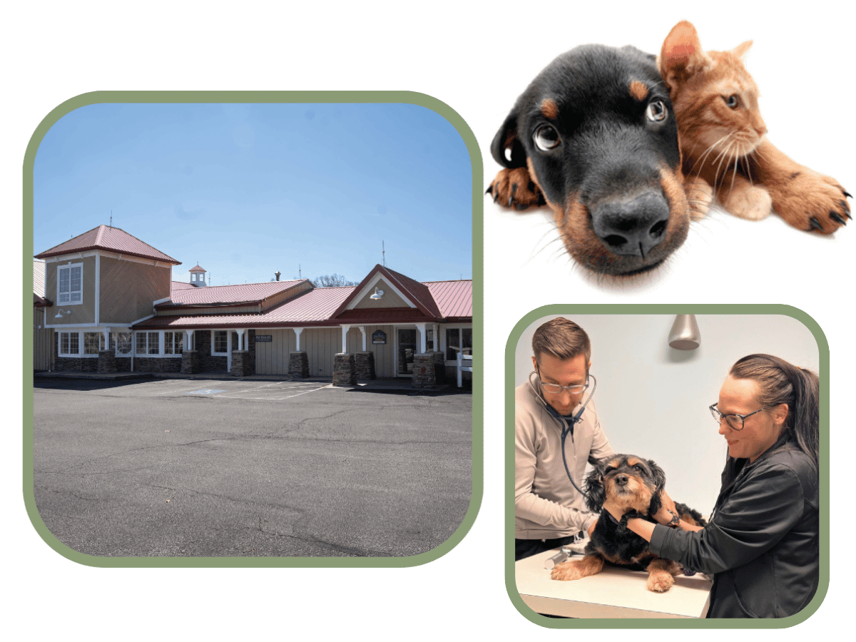 hospital front view images