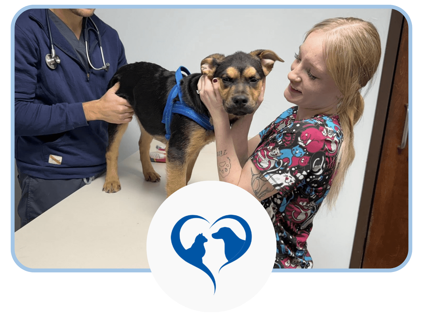 vet examining a dog with a girl holding dog