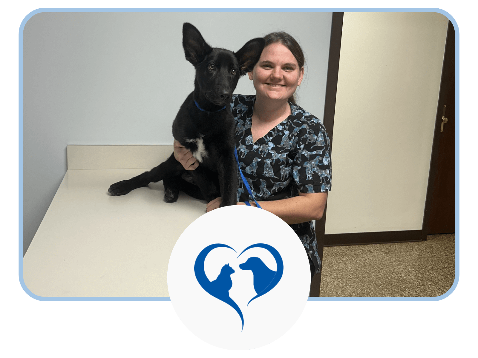 vet staff with a dog
