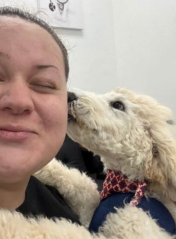 pet wellness dog wellness care