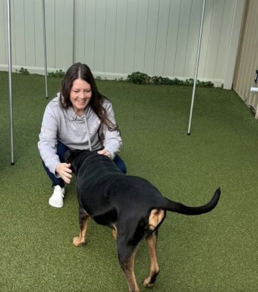 vet staff with a dog during boarding